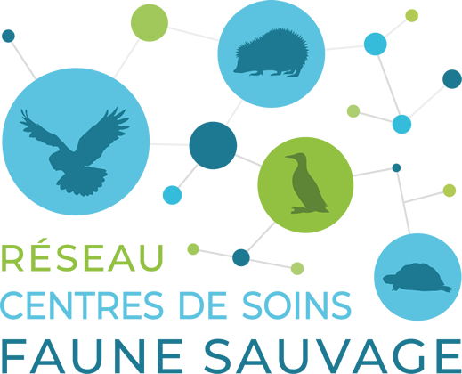 Logo Réseau Centre de Soins Faune Sauvage