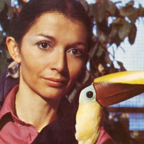 Françoise Delord avec un toucan - Centre de Soins Beauval Nature Françoise Delord pour la faune locale